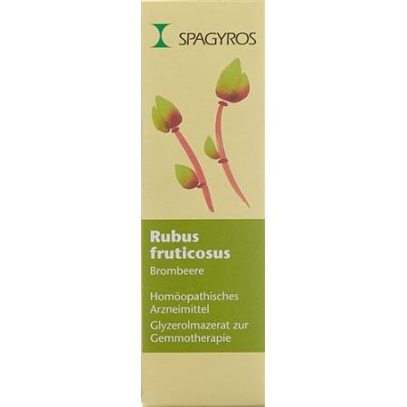 Spagyros Gemmo Rubus fruticosus Glyc Maz D 1 30 ml - PrimeCare Global