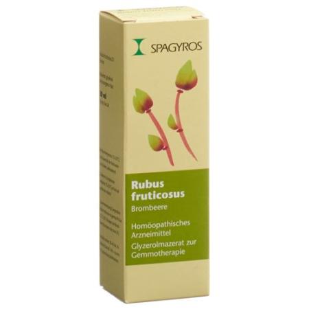 Spagyros Gemmo Rubus fruticosus Glyc Maz D 1 30 ml - PrimeCare Global
