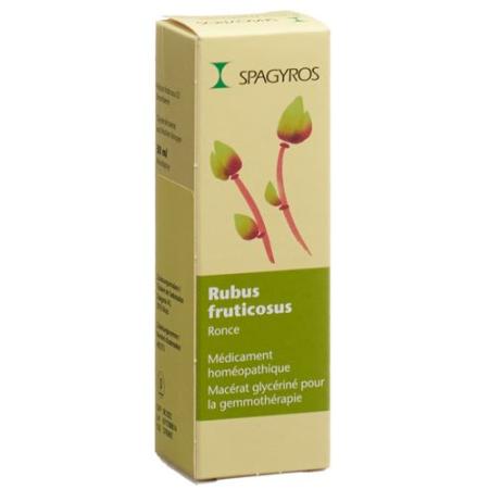 Spagyros Gemmo Rubus fruticosus Glyc Maz D 1 30 ml - PrimeCare Global