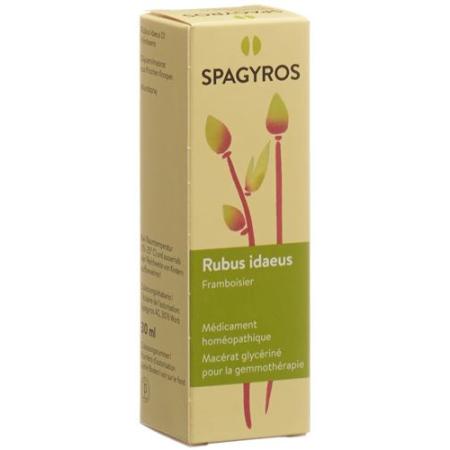 Spagyros Gemmo Rubus idaeus Glyc Maz D 1 30 ml - PrimeCare Global