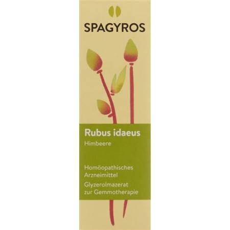 Spagyros Gemmo Rubus idaeus Glyc Maz D 1 30 ml - PrimeCare Global