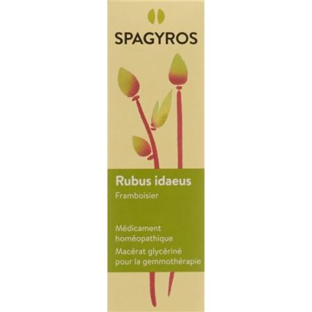 Spagyros Gemmo Rubus idaeus Glyc Maz D 1 30 ml - PrimeCare Global