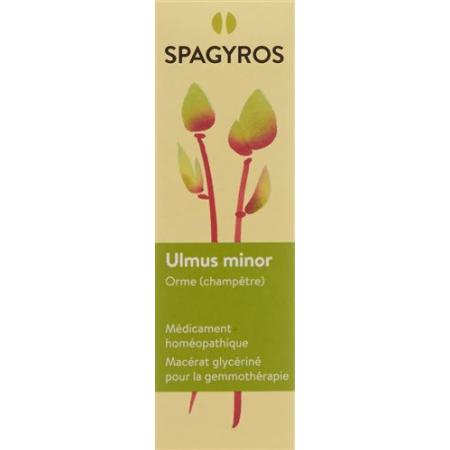 Spagyros Gemmo Ulmus minor Glyc Maz D 1 30 ml - PrimeCare Global