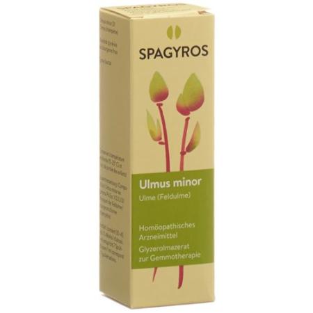 Spagyros Gemmo Ulmus minor Glyc Maz D 1 30 ml - PrimeCare Global