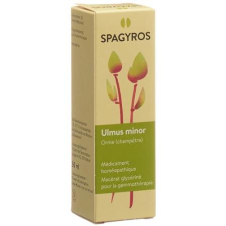Spagyros Gemmo Ulmus minor Glyc Maz D 1 30 ml - PrimeCare Global