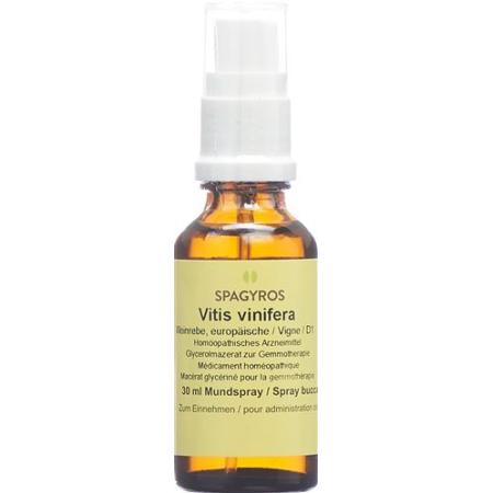 Spagyros Gemmo Vitis vinifera Glyc Maz D 1 30 ml - PrimeCare Global