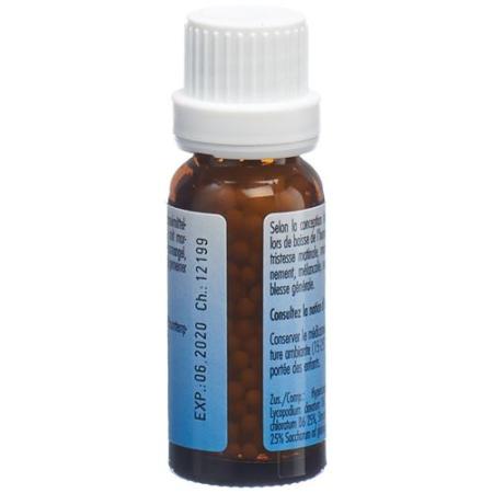 Omida Hypericum Plus Globuli 12.5г - PrimeCare Global