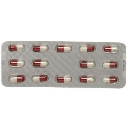 Lyrica Caps 75 mg 56 pcs - PrimeCare Global