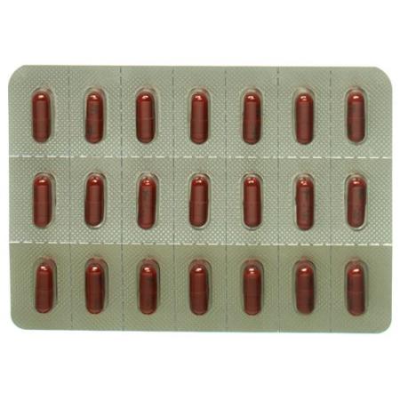 Lyrica Caps 100 mg 84 pcs - PrimeCare Global