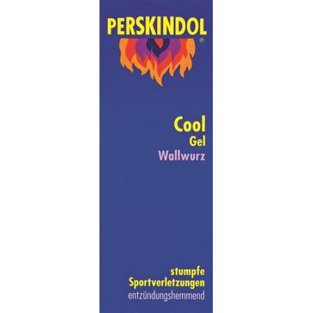 Perskindol Cool Wallwurz Gel Tb 100 ml - PrimeCare Global