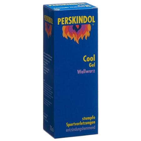 Perskindol Cool Wallwurz Gel Tb 100 ml - PrimeCare Global