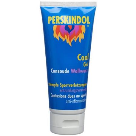 Perskindol Cool Wallwurz Gel Tb 100 ml - PrimeCare Global