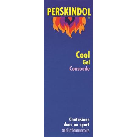 Perskindol Cool Wallwurz Gel Tb 100 ml - PrimeCare Global