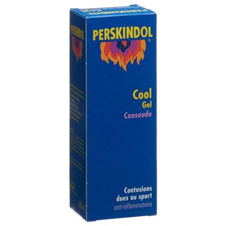 Perskindol Cool Wallwurz Gel Tb 100 ml - PrimeCare Global