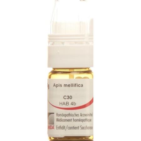Omida Apis Glob C 30 with dosing aid 4 g - PrimeCare Global