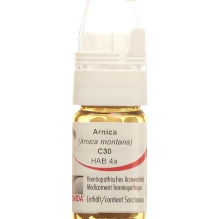 Omida Arnica Glob C 30 with dosing aid 4 g - PrimeCare Global