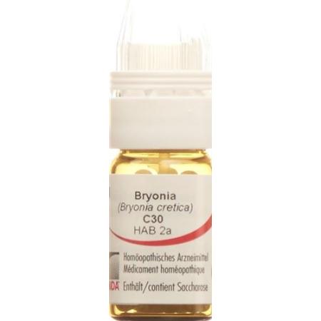 Omida Bryonia Glob C 30 with dosing aid 4 g - PrimeCare Global