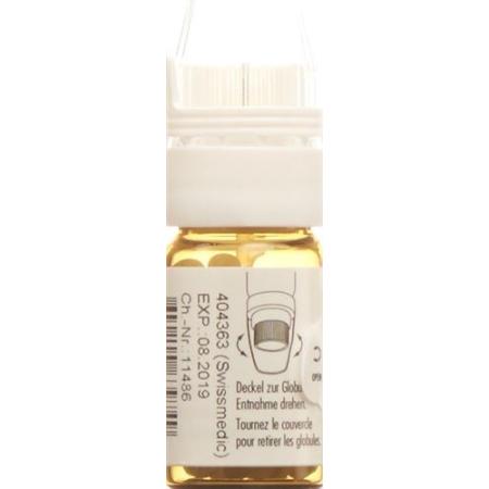 Omida Bryonia Glob C 30 with dosing aid 4 g - PrimeCare Global