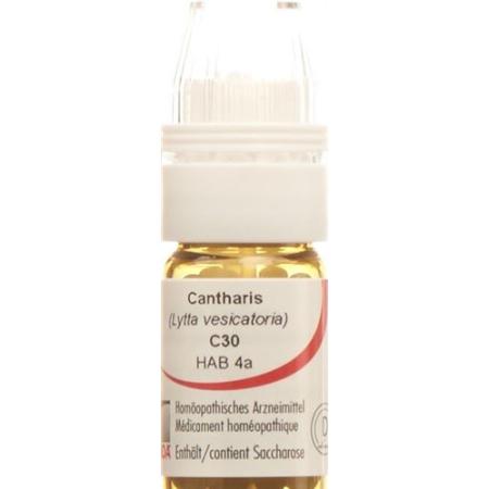 Omida Cantharis Glob C 30 with dosing aid 4 g - PrimeCare Global