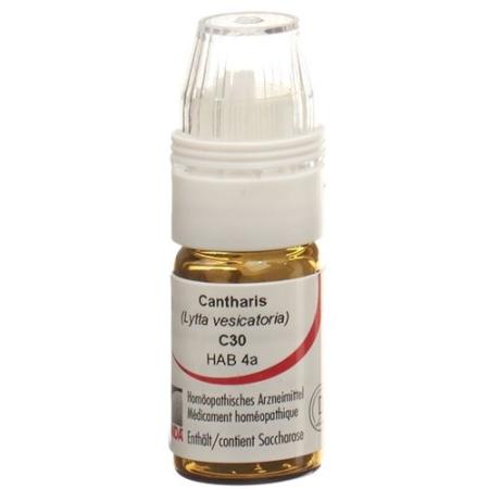 Omida Cantharis Glob C 30 with dosing aid 4 g - PrimeCare Global