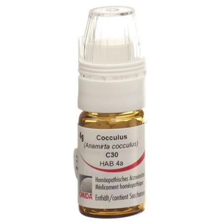 Omida Cocculus Glob C 30 with dosing aid 4 g - PrimeCare Global