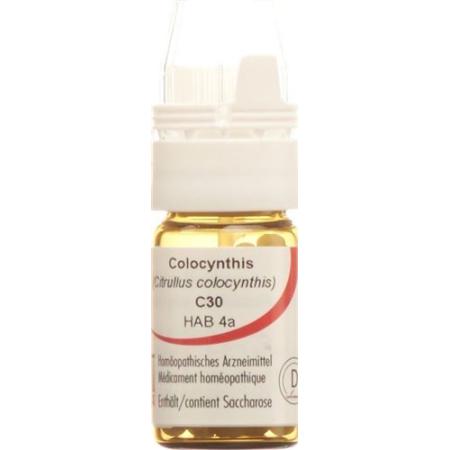 Omida Colocynthis Glob C 30 with dosing aid 4 g - PrimeCare Global