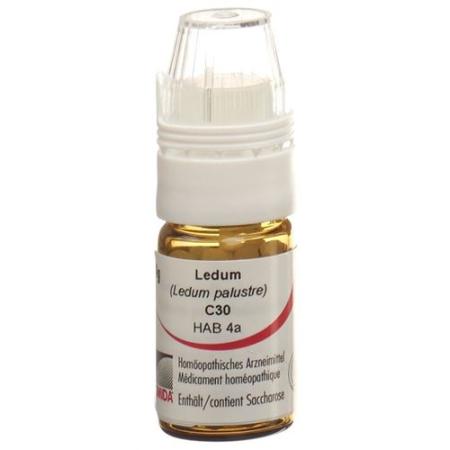 OMIDA Ledum Glob C 30 m dosing aid - PrimeCare Global