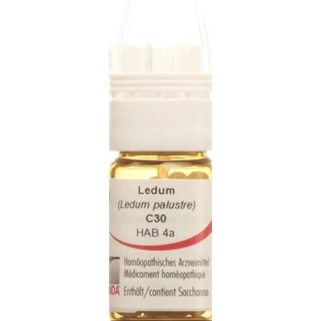 OMIDA Ledum Glob C 30 m dosing aid - PrimeCare Global