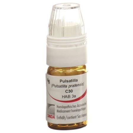 OMIDA PULSATILLA GLOB C 30 M DOSING AID - PrimeCare Global