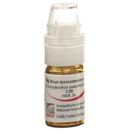 OMIDA RHUS TOX GLOB C 30 M DOSING AID 4 - PrimeCare Global