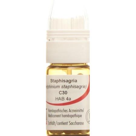OMIDA Staphysagria Glob C 30 m dosing aid - PrimeCare Global