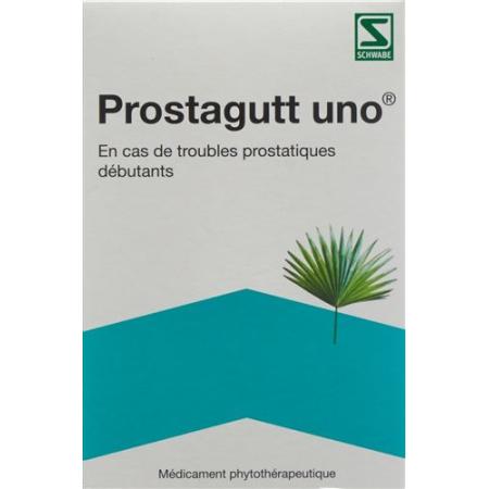 Prostaggutt uno Kaps 60 pcs - PrimeCare Global