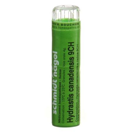SN Hydrastis canadensis Gran CH 9 4g - PrimeCare Global