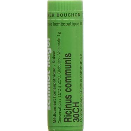 SN Ricinus communis Glob CH 30 1g - PrimeCare Global