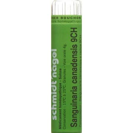 SN Sanguinaria canadensis Gran CH 9 4g - PrimeCare Global