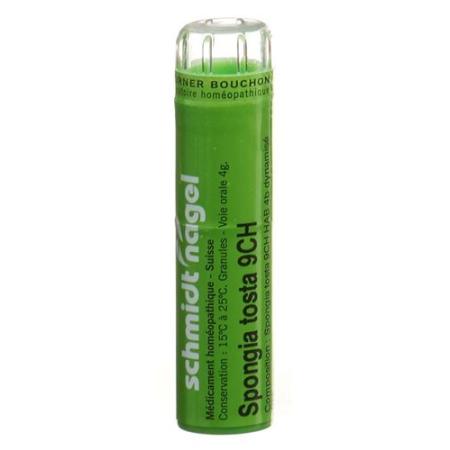 SN Spongia tosta Gran CH 9 4 g - PrimeCare Global