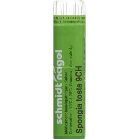SN Spongia tosta Gran CH 9 4 g - PrimeCare Global