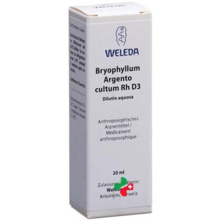Weleda Bryophyllum Argento cultum Rh D 3 Dilutio aquosa 20 ml - PrimeCare Global