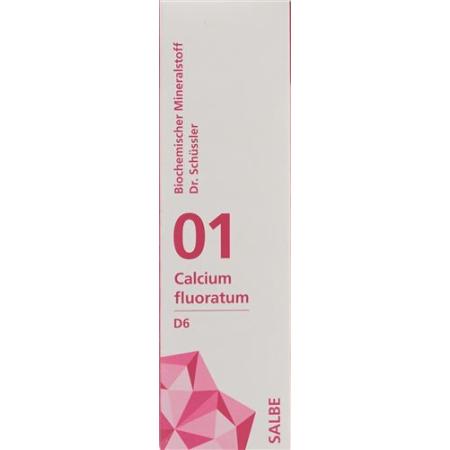 PHYTOMED SCH&Uuml;SSLER Nr1 Calcium Fluoratum Ointment D 6 500 g - PrimeCare Global
