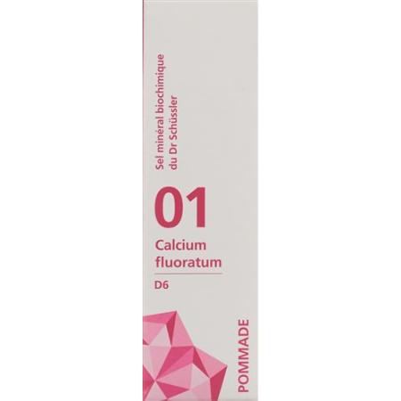 PHYTOMED SCH&Uuml;SSLER Nr1 Calcium Fluoratum Ointment D 6 500 g - PrimeCare Global