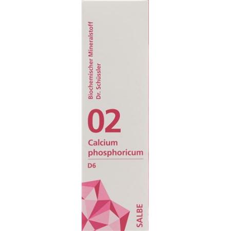 PHYTOMED SCH&Uuml;SSLER Nr2 Calcium phosphoricum ointment D 6 500 g - PrimeCare Global