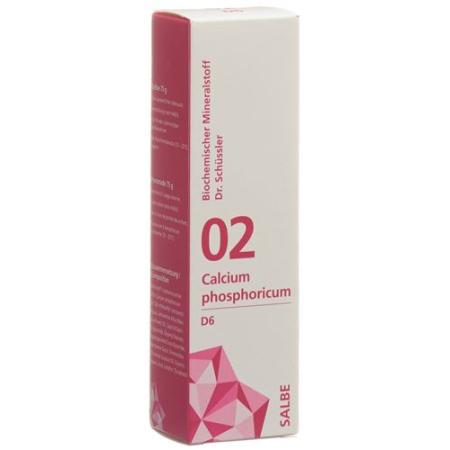 PHYTOMED SCH&Uuml;SSLER Nr2 Calcium phosphoricum ointment D 6 500 g - PrimeCare Global