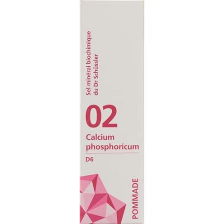 PHYTOMED SCH&Uuml;SSLER Nr2 Calcium phosphoricum ointment D 6 500 g - PrimeCare Global