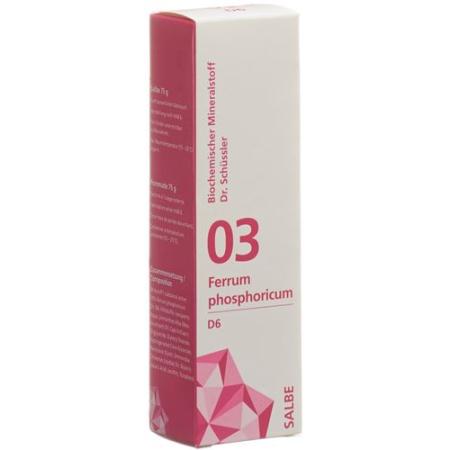 PHYTOMED SCH&Uuml;SSLER Nr3 Ferrum phosphoricum ointment D 6 500 g - PrimeCare Global