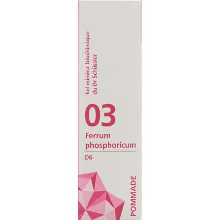 PHYTOMED SCH&Uuml;SSLER Nr3 Ferrum phosphoricum ointment D 6 500 g - PrimeCare Global