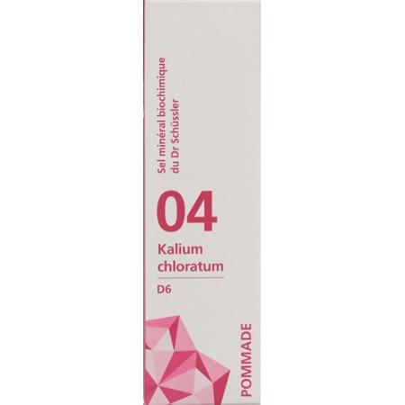 PHYTOMED SCH&Uuml;SSLER Nr4 potassium chloratum ointment D 6 500 g - PrimeCare Global