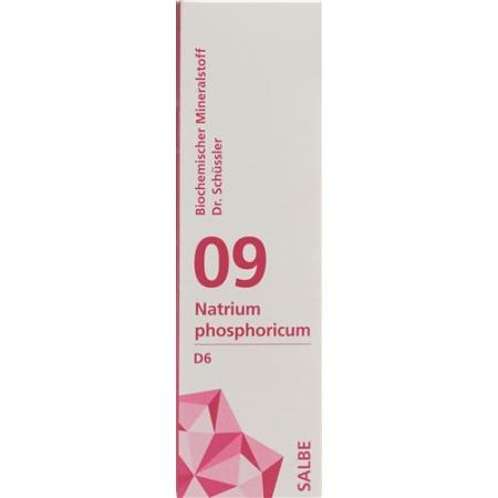 PHYTOMED SCH&Uuml;SSLER Nr9 sodium phosphoricum ointment D 6 500 g - PrimeCare Global