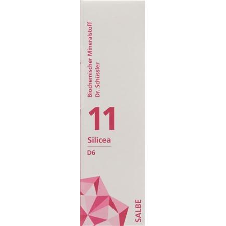 PHYTOMED SCH&Uuml;SSLER Nr11 Silicea Ointment D 6 500 g - PrimeCare Global
