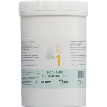 Pfluger Sch&uuml;ssler Nr1 Calcium fluoratum Tabl D 12 1000 g - PrimeCare Global