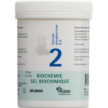 Pfluger Schuessler No. 2 Calcium phosphoricum Tabl D 6 250 g - PrimeCare Global
